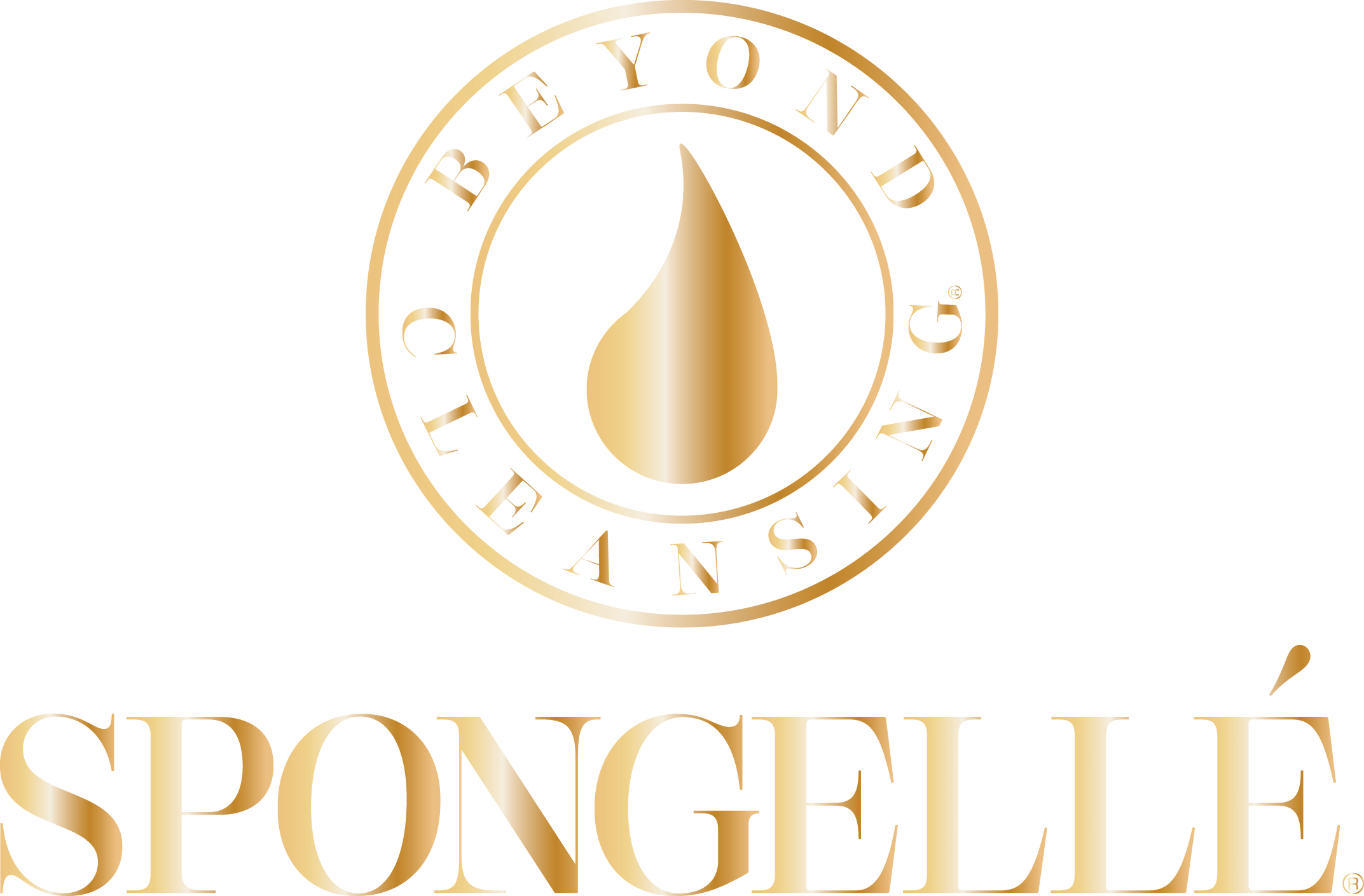 SPONGELLÉ s. Probeautic Institut