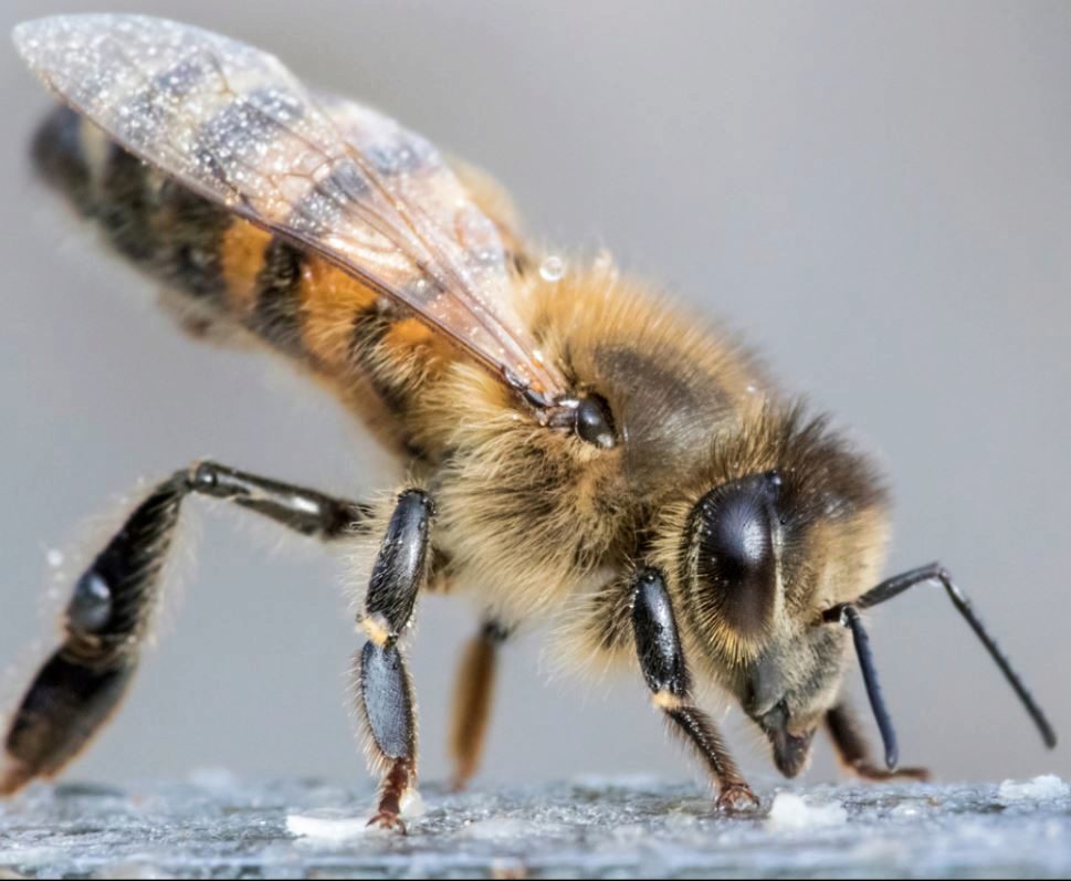Foto: Viesinsh/Shutterstock.com