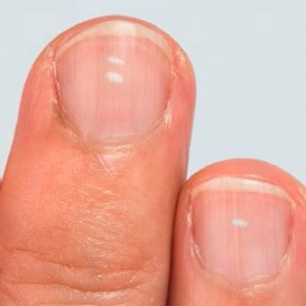 Foto: toa55/Shutterstock.com