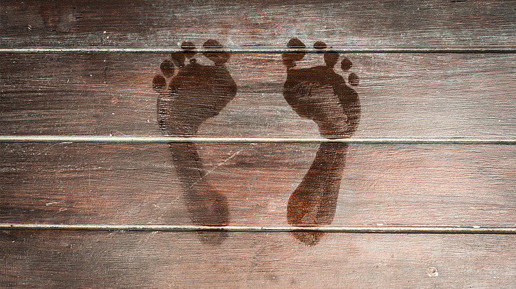 Foto: Konstantin Yolshin/Shutterstock.com