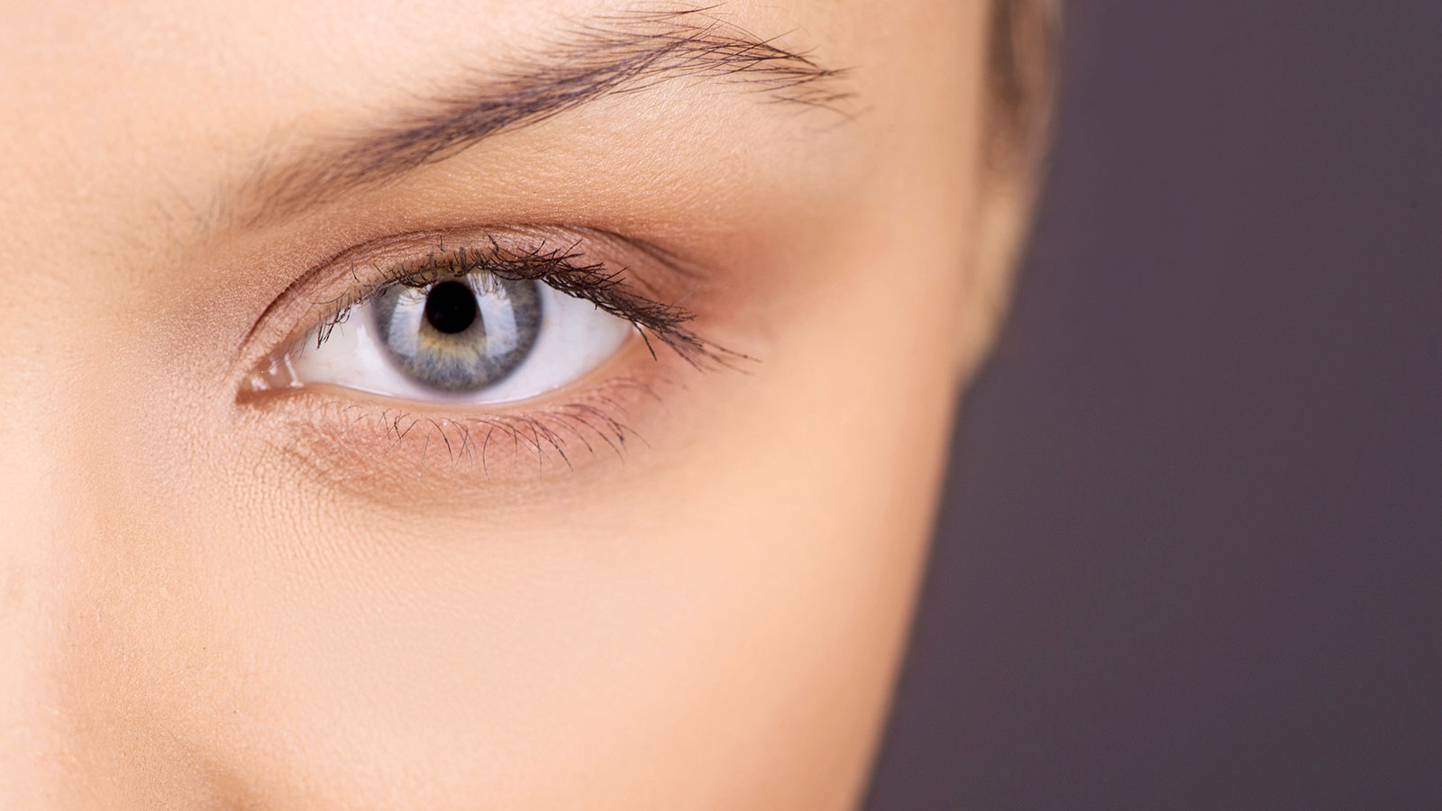 Foto: BlueSkyImage/Shutterstock.com