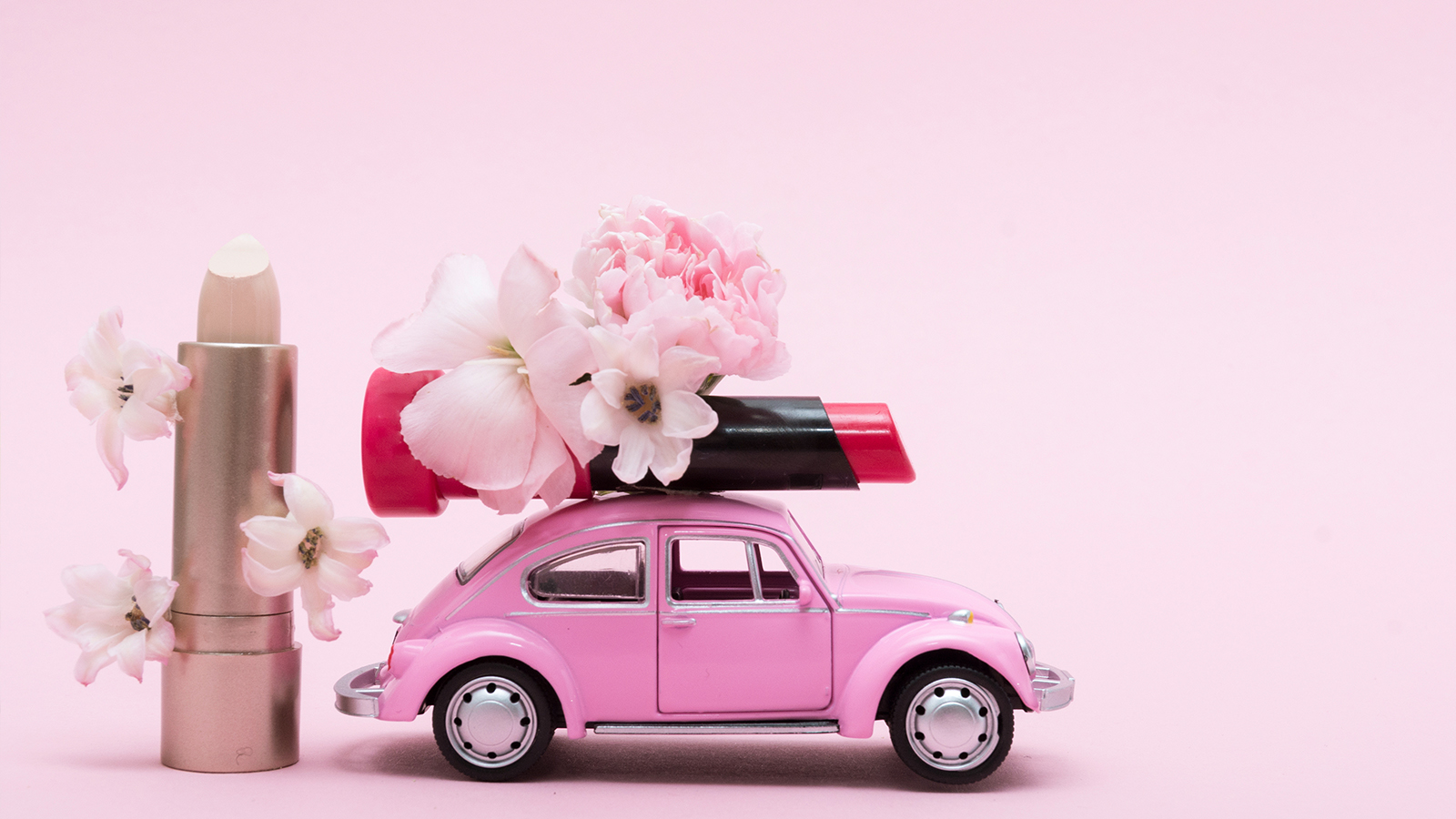 Foto: Yuliia D/Shutterstock.com