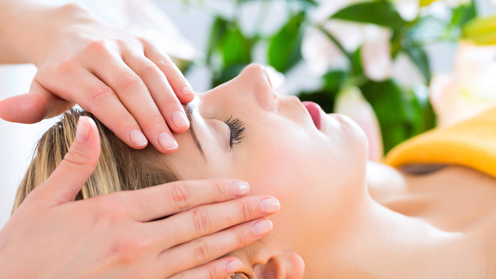 Pflanzenstammzellen sind ein effektiver Anti-Aging-Wirkstoff und können sehr gut in ein Treatment integriert werden. Foto: Kzenon/Shutterstock.com